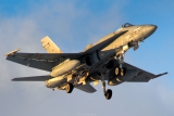McDonnell Douglas EF-18M Hornet
