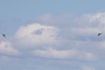 Dassault Rafale B
