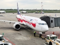 Boeing 737-8 MAX
