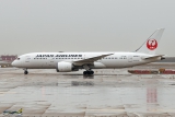 Boeing 787-8 Dreamliner