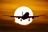 Airbus A330-343 (57) (autors: OlegB)