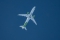 Airbus A220-300