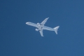 Embraer Lineage 1000 (ERJ-190-100ECJ)