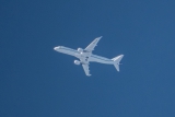 Embraer Lineage 1000 (ERJ-190-100ECJ)