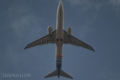 Boeing 737-8 MAX