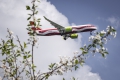 Airbus A220-300