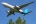 Airbus A330-243