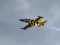 Aero L-39C Albatros