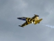 Aero L-39C Albatros