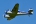 Aero 45