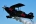 Pitts S-2C Special