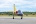 Aero L-39C Albatros