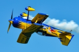 Pitts 12S Python
