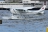 Cessna U206G Stationair 6 (27) (autors: Artūrs)